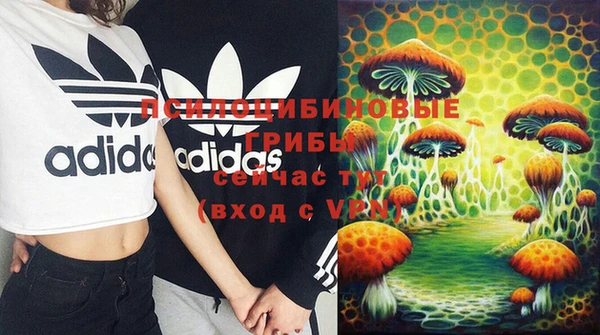 PSILOCYBIN Остров