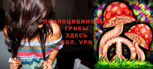 каннабис Осташков