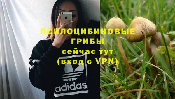 PSILOCYBIN Остров