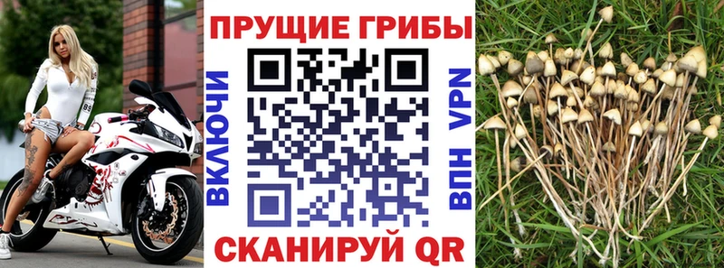 Галлюциногенные грибы прущие грибы  где продают   Великие Луки 
