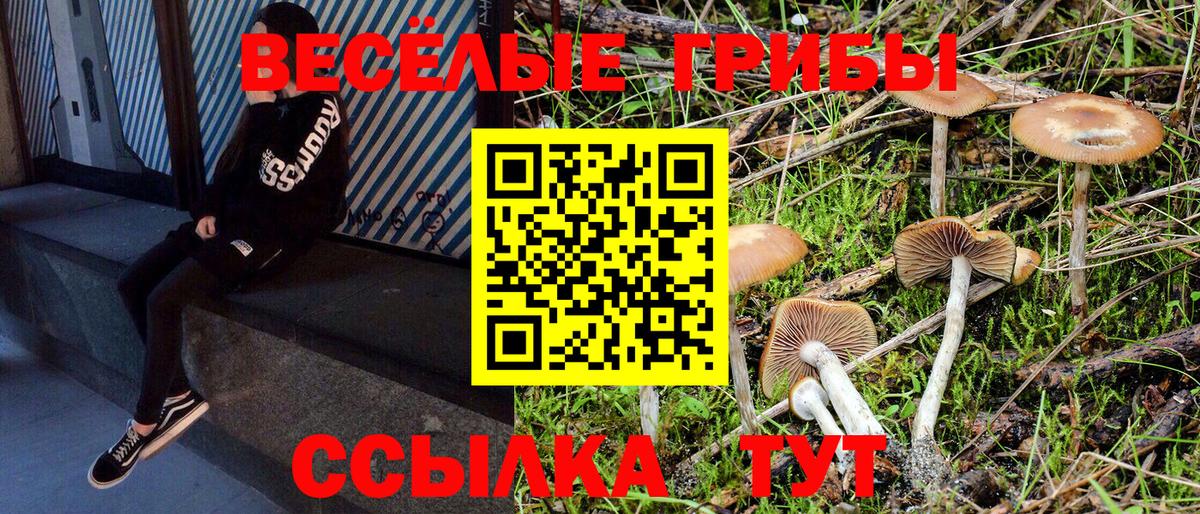 Галлюциногенные грибы GOLDEN TEACHER Великие Луки