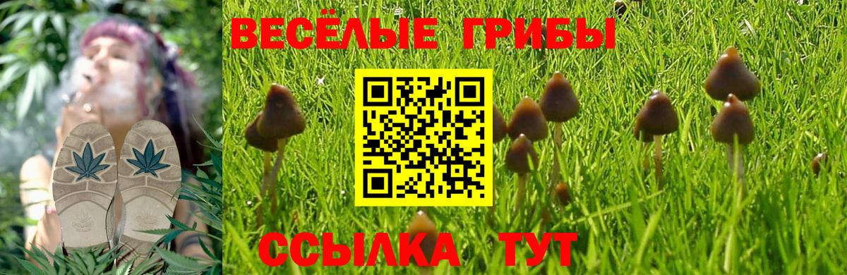 Великие Луки  Псилоцибиновые грибы мицелий  Вход с VPN  Галлюциногенные грибы прущие грибы 