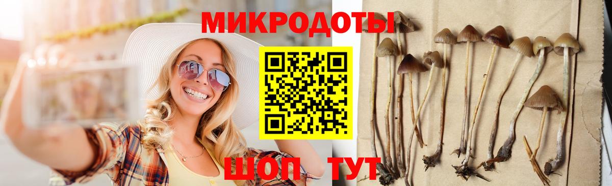 Галлюциногенные грибы Psilocybe  Великие Луки  Галлюциногенные грибы MAGIC MUSHROOMS 